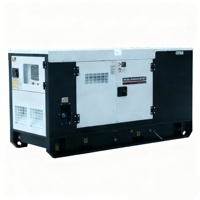 Générateur diesel silencieux portable 20-30 kW triphasé 400 V démarrage automatique/à distance pour moteur 50/60 Hz pour la maison, la sauvegarde, le camping Titan