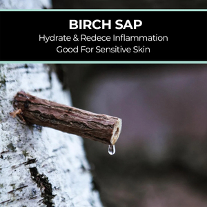 Ensemble de soins de la peau coréens de marque privée pour les peaux sensibles Soulagement naturel des rougeurs Crème de sérum pour le visage Inspiration acide hyaluronique Sève de bouleau - Product Image 3
