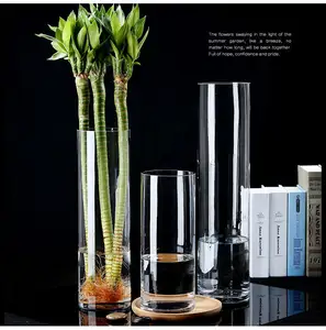 Eenvoudige Verdikking Transparant Glas Cilindrische Rechte Cilinder Vaas Landing Hoge Vaas Decoratieve Ornamenten