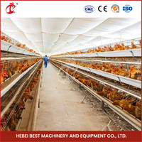 Tanzanie Cages automatiques pour volailles pour poules pondeuses pour 10000 oiseaux