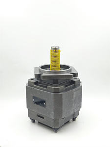 Bomba Hidráulica de Engranajes Internos de Alta Presión Comercial PGH4-30/040 32 25 21/025 40 20 50RE11VE4/VU2 PGH4-20/040 RE11VE4 - Product Image 2