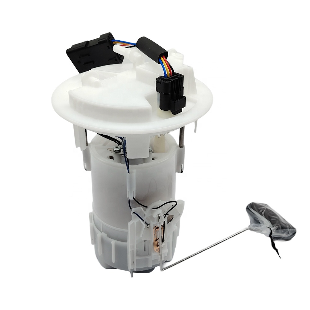 Best Price Fuel Pump Assembly for Peugeot 207 Citroen C3 702700710