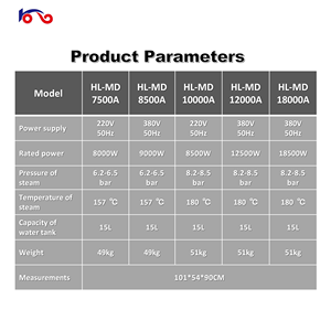 Macchina Elettrica Industriale per <span class=keywords><strong>Lavaggio</strong></span> <span class=keywords><strong>Auto</strong></span> a Vapore ad Alta Pressione, Pulizia <span class=keywords><strong>Interni</strong></span> Motore, Disinfezione ad Alta Temperatura, Acciaio Inossidabile - Product Image 6