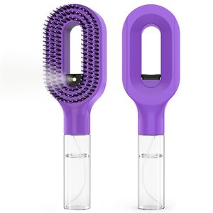 Brosse à eau multifonction portable rechargeable avec réservoir de 55 ml, peigne de massage convivial, brosse à vapeur avec pulvérisation d'eau - Product Image 1