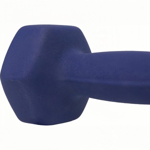 CZFIT Wholesale Custom Logo Free Fitness Equipment Small Cast Iron Dipping <b>Dumbbell</b> 2 lb 3 lb 4 lb for Whole Body Exercise Home - Product Image 5