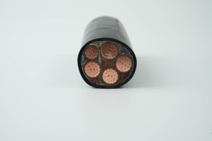 Câbles d'alimentation industriels U-<span class=keywords><strong>1000</strong></span> <span class=keywords><strong>R2V</strong></span>/NYY/YJV22, fabrication de câbles, cuivre CU, isolation en PVC, armure en fil d'acier, IP66, centrale électrique - Product Image 2