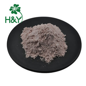 Jus de canneberge naturel en poudre prix de gros supplément de collagène et de canneberge - Product Image 2