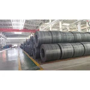 Hot Selling Coated Steel Coil Stainless Steel Coil Hot Rolled Steel Coils