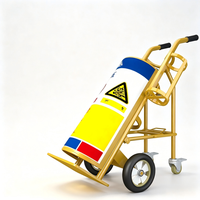 Chariot de transport industriel sécurisé pour bouteilles de gaz de soudage en acier avec support pour extincteur - Chariot pour réservoirs d'acétylène et d'azote 40L OEM