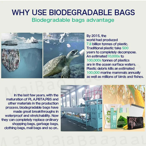 Bolsas de plástico biodegradables para la compra, embalaje para <span class=keywords><strong>ropa</strong></span> con diseño impreso personalizado, su propio logotipo - Product Image 5