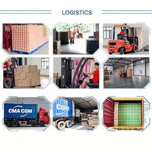 Bevande in Lattina Trasparenti in PET, Bibita Gassata al Gusto Esotico di Arancia con Sapori di Ciliegia, Limone, Pesca e Mela - Product Image 4