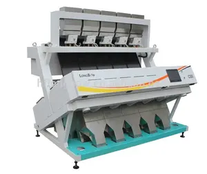 Sorting Machine Ccd Bean Coffee Color Sorter Cocoa Beans Sorting Machine Camera For Lentil Price From China Manufacturer 320channels
