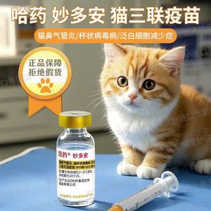 วัคซีนสำหรับ<span class=keywords><strong>แมว</strong></span>: Mydovax Cevas Myou-S Zoetis PureVax - สำหรับป้องกันโรคหวัดไวรัสในแมวและโรค<span class=keywords><strong>หลอดลม</strong></span><span class=keywords><strong>อักเสบ</strong></span>ใน<span class=keywords><strong>แมว</strong></span> - Product Image 6