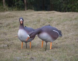 Foam Goose <b>Decoys</b> Modern Lightweight Waterproof XPE Material Black-billed Goose <b>Hunting</b> Bait for Outdoor <b>Hunting</b> Activities - Product Image 4