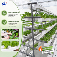 Système hydroponique ChenChao Wholesale NFT Channel avec PVC 100x50mm pour la culture de laitue en serre