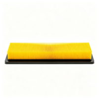 Nouvelle Cartouche de Filtre d'Habitacle Supermacy VA208725 VA208725-MF SC60114
