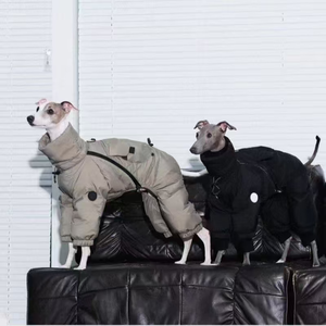 Manteau matelassé OEM pour chien, combinaison d'hiver intégrale à col montant et 4 pattes avec patch réfléchissant pour chien de type Greyhound <span class=keywords><strong>italien</strong></span> et <span class=keywords><strong>Whippet</strong></span> - Product Image 3