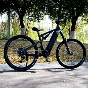 Vélo de montagne électrique Ristar RSD-409 avec moteur de moyeu arrière 29 pouces, batterie 36V 30.4Ah, cadre en alliage d'aluminium 250W, couleur personnalisée - Product Image 1