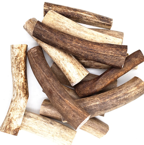 Trung Quốc Sika Deer <span class=keywords><strong>ANTLER</strong></span> <span class=keywords><strong>Chew</strong></span> Stick cho chó và mèo MOL răng thân thiện với môi XL Pet đồ chơi sang trọng Hươu Sừng <span class=keywords><strong>Chew</strong></span> đóng gói trong túi - Product Image 1