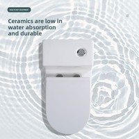 WC domestique standard avec chasse d'eau à siphon haute pression, cuvette en céramique intégrée haute température