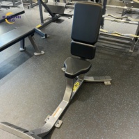 Chaise romaine d'entraînement à 75 degrés pour extenseurs dorsaux, équipement de musculation professionnel