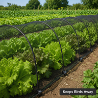 Filet anti-oiseaux robuste noué pour la protection des vergers et des jardins, résistant aux UV, en HDPE