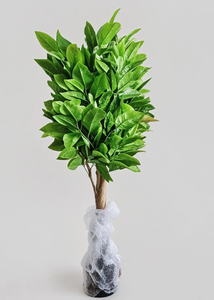 ต้นโกโก้ประดิษฐ์สำหรับตกแต่งภายในบ้าน ร้านกาแฟ และร้านขายเสื้อผ้า ต้นไม้ประดับสีเขียว - Product Image 3