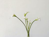 Bunga Calla Lily Putih Buatan Pabrik Langsung, Taro Guanyin Lotus, Model Cetakan Injeksi, Rangkaian Bunga Linear untuk Ruangan