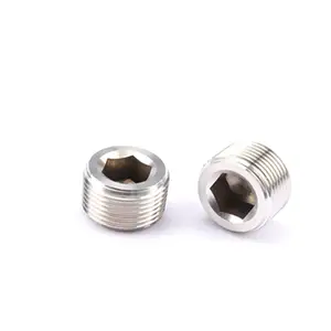 INOX INNOX Stainless Steel 18-8 Stainless Steel AISI304 AISI316 ANSI304 ANSI316 Plain Polished Internal Drive Pipe Plugs DIN906
