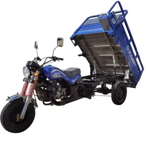 Nouveau moteur 150cc refroidi par air, tricycle assis/cyclomoteur tricycle