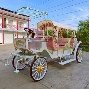 Chariot de tourisme à chevaux pour visites urbaines, faible MOQ, vente en gros - Product Image 4