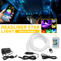Luces ambientales LED de fibra óptica para techo de coche, 600 piezas, 12V CC, con efecto centelleante y control remoto por APP