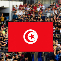 Drapeau de la Tunisie personnalisé avec logo, 100 % polyester, 3x5 pieds, séchage rapide, écologique, imprimé en sérigraphie