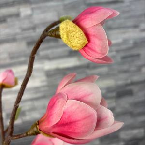 Ramas Individuales de Magnolia Artificial de Seda, Flores de Magnolia Artificiales de Alta Calidad al por Mayor para Decoración del Hogar en China - Product Image 3