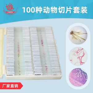 100 types de préparations biologiques, dont des spécimens zoologiques clairs pour microscope. - Product Image 4