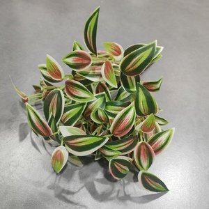 Plantes artificielles suspendues de 32 cm à <span class=keywords><strong>feuilles</strong></span> vertes pour la décoration de la maison et du bureau, <span class=keywords><strong>feuilles</strong></span> vertes artificielles - Product Image 2