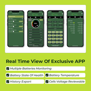 แบตเตอรี่ LiFePO4 100Ah 24 12V พร้อม2A บลูทูธอัจฉริยะแบบแอกทีฟแบตเตอรี่ลิเธียม BMS แบบวงจรลึกสำหรับเรือเดินทะเล - Product Image 4