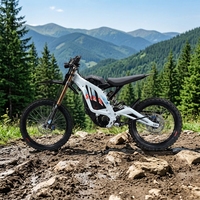 Surron Ultra Bee 2026 Gonped 10kw Moto Électrique d'Aventure Longue Portée à Couple Élevé Tout-Terrain Changzhou Gonped Surron