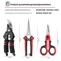 Arbeidsbesparende rood/zwarte snoeischaarset voor het snoeien van tuinbloemen, fruitbomen en takken
