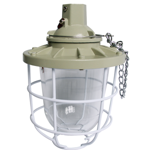 Éclairage industriel BCD 200W 400W IP65 ATEX <span class=keywords><strong>Zone</strong></span> 1 2 HID LED antidéflagrant avec cage - Product Image 5