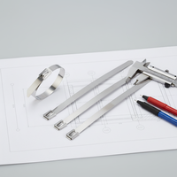 Clips de câble solaire en acier inoxydable de type échelle nue 7*300mm