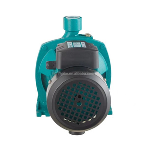 Pompe centrifuge d'irrigation agricole et domestique RUIQI CPM-130 1/2, haute qualité à bas prix, avec fil de cuivre CPM-130/45 W - Product Image 3