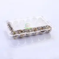 Clear Plastic Quail Egg Tray for Supermarket, Disposable