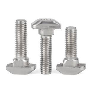 Fastener Supplier High Strength Stainless Steel <b>T</b> Bolt <b>Nut</b> - Product Image 3