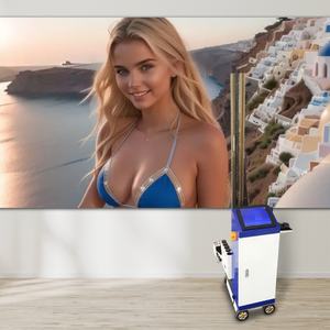 Imprimante murale UV neuve, robot 3D automatique vertical, imprimante à jet d'encre pour papier peint, encre UV pour panneaux muraux - Product Image 6