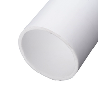 PULI Résistance aux hautes températures PTFE Tube en plastique blanc Dispersion Résine extrudée Option pour produits en caoutchouc