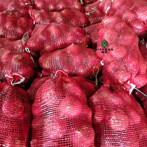 Cebollas Frescas para Exportación, Nueva Cosecha de Cebollas Rojas y Amarillas - Product Image 4