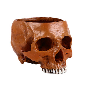 Adornos de <span class=keywords><strong>maceta</strong></span> de <span class=keywords><strong>calavera</strong></span> SKF09, nueva <span class=keywords><strong>maceta</strong></span> de <span class=keywords><strong>calavera</strong></span> de resina para decoración del hogar, artesanías de <span class=keywords><strong>calavera</strong></span> de cabeza humana hechas a mano - Product Image 2