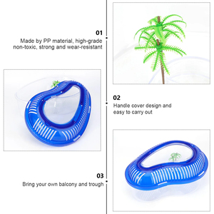Vente en gros, grande boîte d'élevage, <span class=keywords><strong>terrarium</strong></span> en verre avec couvercle, mangue brésilienne, maison <span class=keywords><strong>pour</strong></span> tortues d'eau - Product Image 4