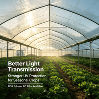 Film de serre en PO coextrudé 5 couches, résistant aux UV, diffuseur de lumière, anti-buée, anti-goutte, pour la culture agricole des légumes
